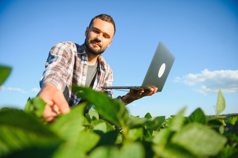 Rolnictwo Polowe i Magazynowanie