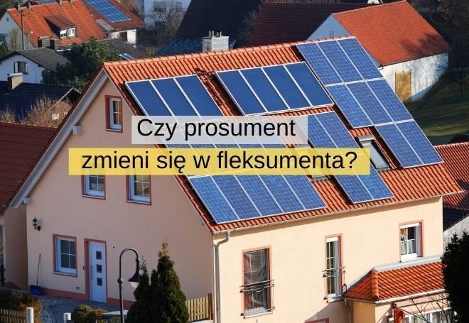 Czy prosument zmieni się w fleksumenta