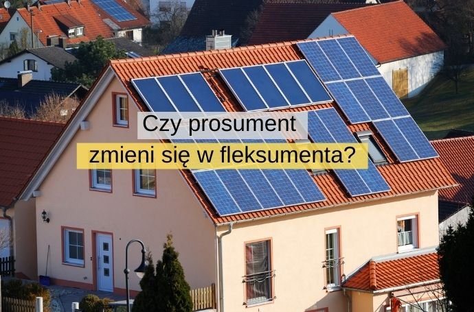 Czy prosument zmieni się w fleksumenta