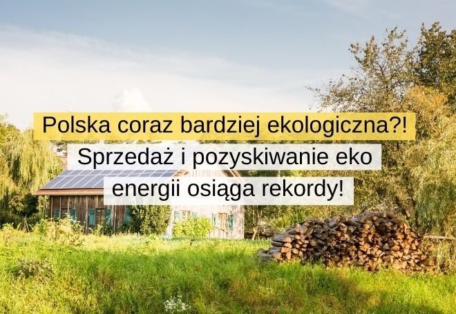 Polska coraz bardziej ekologiczna! Sprzedaż i pozyskiwanie eko energii osiąga rekordy!