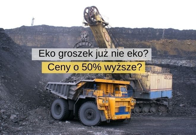 Eko groszek droższy o 50%