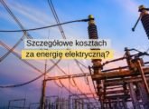 szczegółowe koszta za energię elektryczną