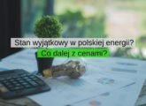 Stan wyjątkowy w polskiej energii? Co dalej z cenami? Czy jest plan wdrożeniowy?